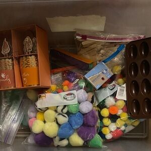 Colorful Craft Pom Poms and Supplies